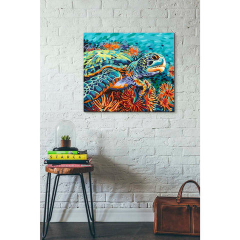 Image of 'Sea Sweetheart I' by Carolee Vitaletti, Giclee Canvas Wall Art