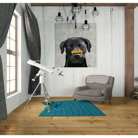 Image of 'Black Labrador With Bone on Nose' by Fab Funky, Giclee Canvas Wall Art