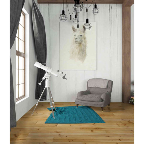 Image of 'Classic Llamas II' by Danhui Nai, Canvas Wall Art,26 x 34
