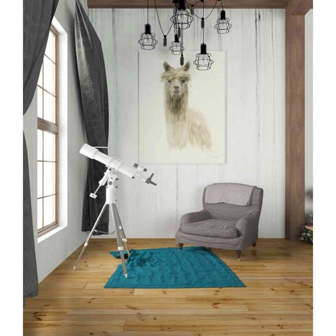 Image of 'Classic Llamas I' by Danhui Nai, Canvas Wall Art,26 x 34