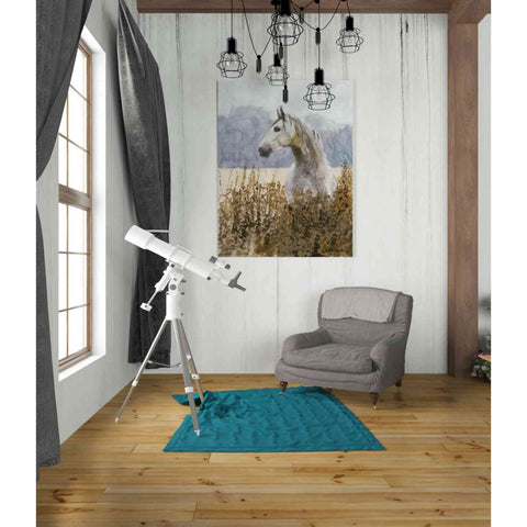 Image of 'Beauty' by Stellar Design Studio, Canvas Wall Art,26 x 34