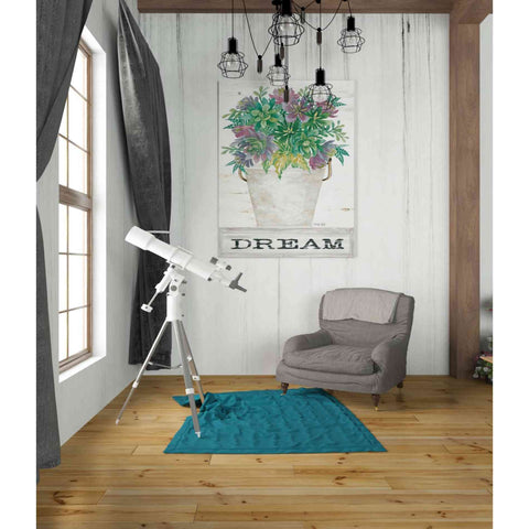 Image of 'Dream Succulents' by Cindy Jacobs, Giclee Canvas Wall Art
