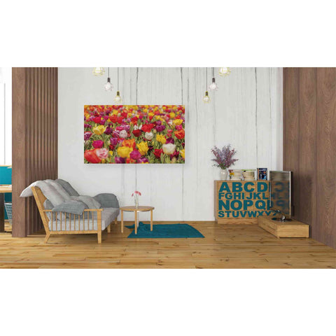 Image of 'Colorful Bouquet' by Martin Podt, Canvas Wall Art,40 x 26