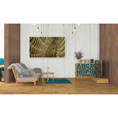 Image of 'The Spider and Her Jewels' by Martin Podt, Canvas Wall Art,40 x 26