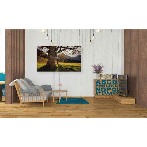 Image of 'The Star' by Martin Podt, Canvas Wall Art,40 x 26