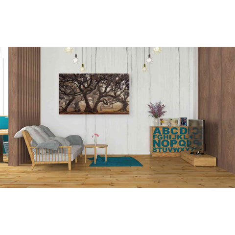 Image of 'The Hidden Truth' by Martin Podt, Canvas Wall Art,40 x 26