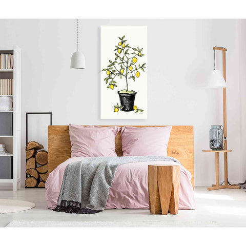 Image of 'Citron V' by Anne Tavoletti, Canvas Wall Art,30 x 60