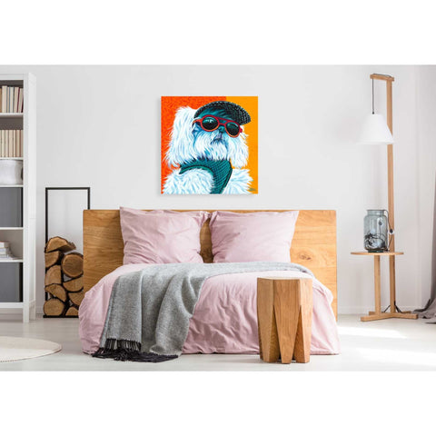 Image of 'Cute Pups IV' by Carolee Vitaletti, Giclee Canvas Wall Art