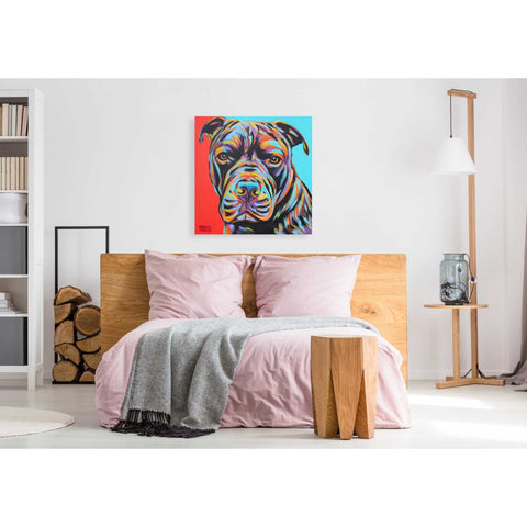 Image of 'Canine Buddy III' by Carolee Vitaletti, Giclee Canvas Wall Art