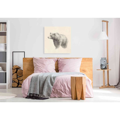 Image of 'Western Bear Study' by Ethan Harper, Canvas Wall Art,37 x 37