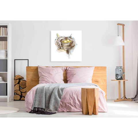 Image of 'Bird Nest Study III' by Ethan Harper, Canvas Wall Art,37 x 37