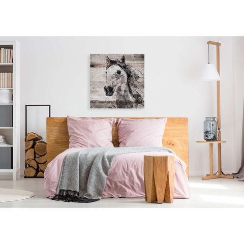 Image of 'Sparkle Horse 4' by Irena Orlov, Canvas Wall Art,37 x 37