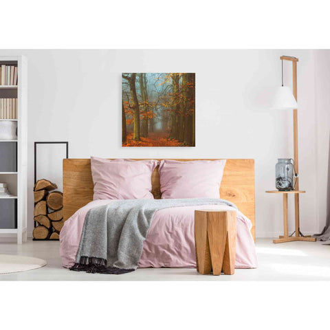Image of 'Path of The Mystics' by Lars van de Goor, Giclee Canvas Wall Art