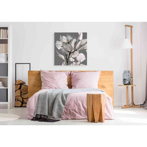 Image of 'Floral in Gray 2' by Stellar Design Studio, Canvas Wall Art,37 x 37