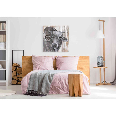 Image of 'Eyes Wide Open' by Diane Fifer, Giclee Canvas Wall Art