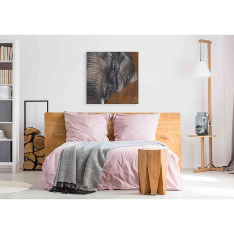 Image of 'The Gentlest Giant' by Britt Hallowell, Canvas Wall Art,37 x 37