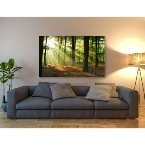 Image of 'Rays of Light' Giclee Canvas Wall Art