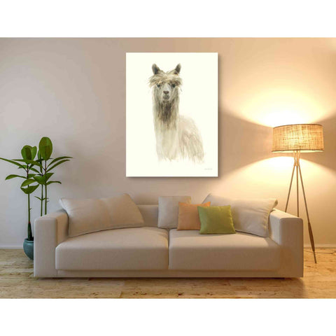 Image of 'Classic Llamas I' by Danhui Nai, Canvas Wall Art,40 x 54