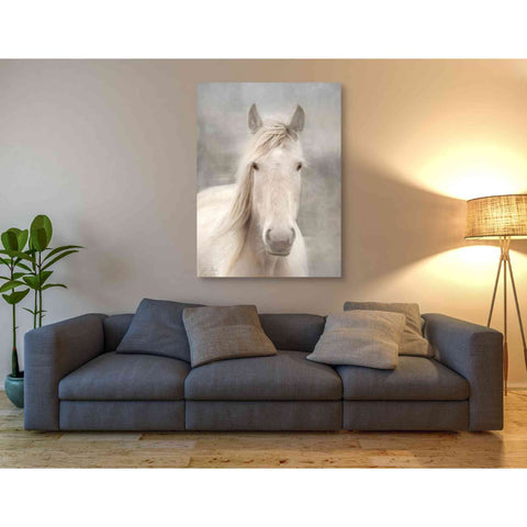 Image of 'White Beauty I' by Lori Deiter, Canvas Wall Art,40 x 54