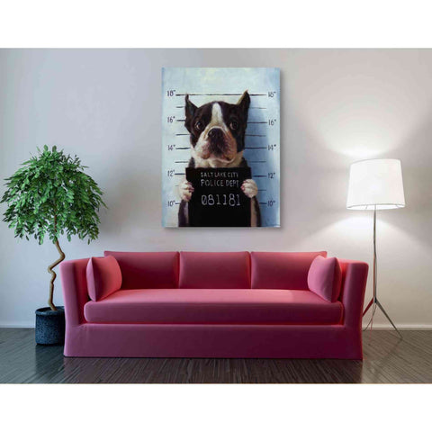 Image of 'Mug Shot' by Lucia Heffernan, Canvas Wall Art,40 x 54