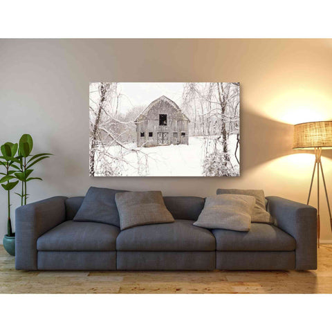 Image of 'The New Tenant' by Lori Deiter, Canvas Wall Art,60 x 40
