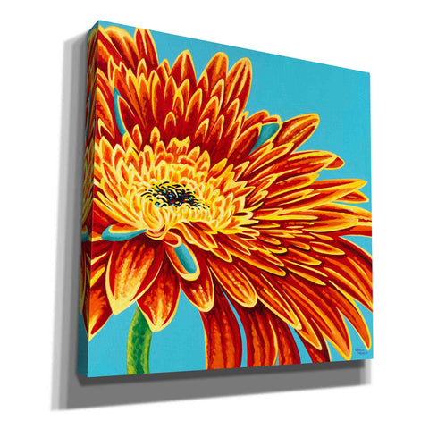 Image of 'Color Bursts I' by Carolee Vitaletti, Giclee Canvas Wall Art