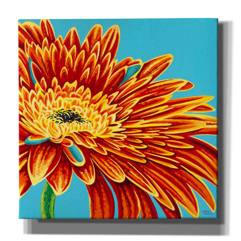 Image of 'Color Bursts I' by Carolee Vitaletti, Giclee Canvas Wall Art