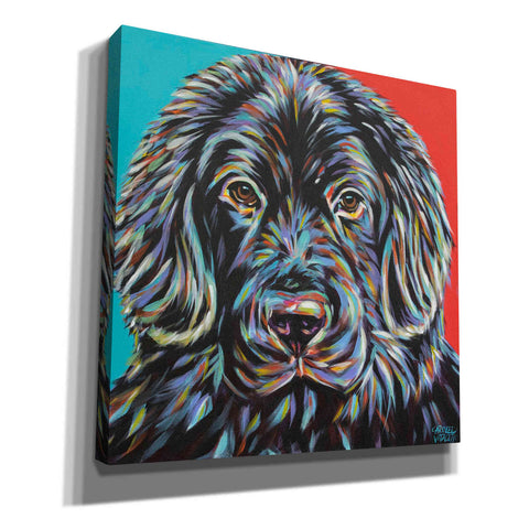 Image of 'Canine Buddy I' by Carolee Vitaletti, Giclee Canvas Wall Art