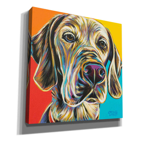 Image of 'Canine Buddy II' by Carolee Vitaletti, Giclee Canvas Wall Art