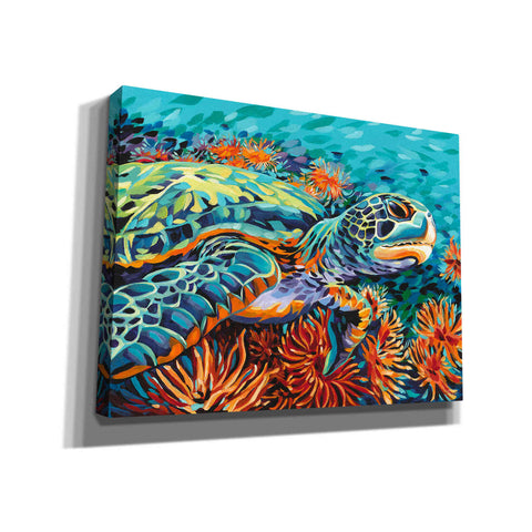Image of 'Sea Sweetheart I' by Carolee Vitaletti, Giclee Canvas Wall Art