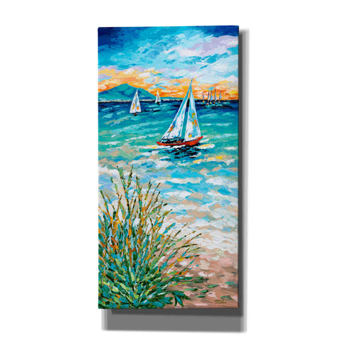 Image of 'Wind in my Sail I' by Carolee Vitaletti, Giclee Canvas Wall Art
