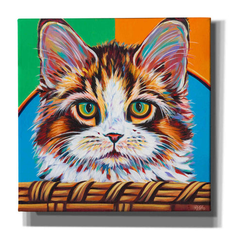 Image of 'Kitten in Basket II' by Carolee Vitaletti Giclee Canvas Wall Art