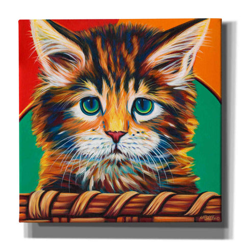 Image of 'Kitten in Basket I' by Carolee Vitaletti Giclee Canvas Wall Art