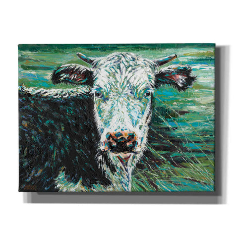 Image of 'Marshland Cow I' by Carolee Vitaletti Giclee Canvas Wall Art