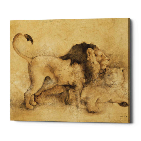 Image of 'Global Lions Light Crop' by Cheri Blum, Canvas Wall Art