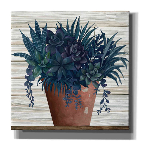 Image of 'Remarkable Succulents II' by Cindy Jacobs, Canvas Wall Art,Size 1 Square