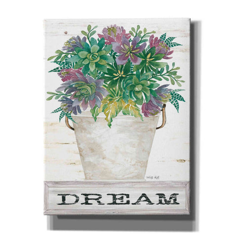 Image of 'Dream Succulents' by Cindy Jacobs, Giclee Canvas Wall Art