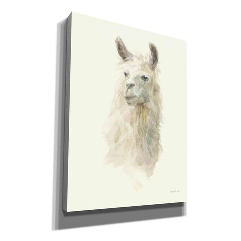 Image of 'Classic Llamas II' by Danhui Nai, Canvas Wall Art,Size B Portrait