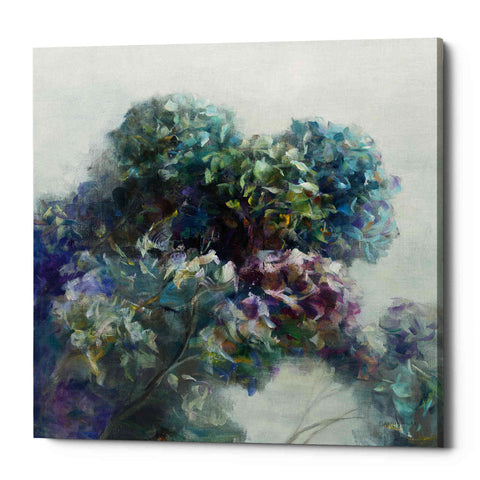 Image of 'Abstract Hydrangea' by Danhui Nai, Canvas Wall Art