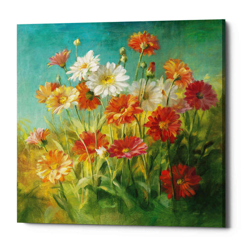 Image of 'Painted Daisies' by Danhui Nai, Canvas Wall Art