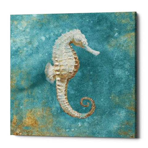 Image of 'Treasures From The Sea I' by Danhui Nai, Canvas Wall Art