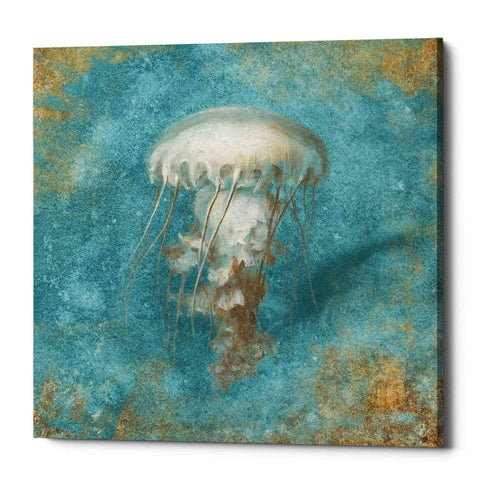 Image of 'Treasures From The Sea VI' by Danhui Nai, Canvas Wall Art