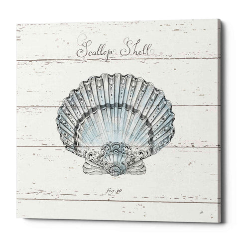 Image of 'Aqua Underwater Life VIII Shiplap' by Daphne Brissonet, Canvas Wall Art