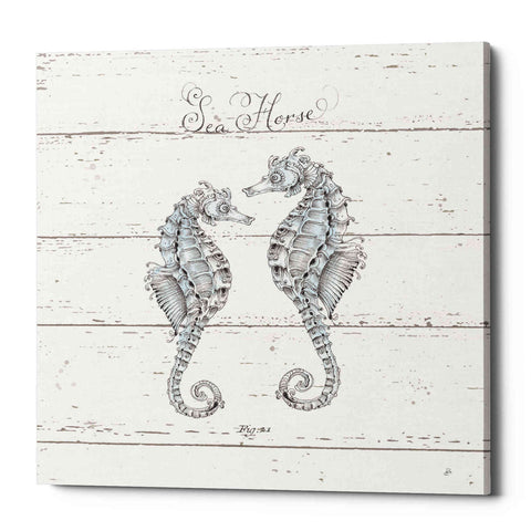 Image of 'Aqua Underwater Life V Shiplap' by Daphne Brissonet, Canvas Wall Art