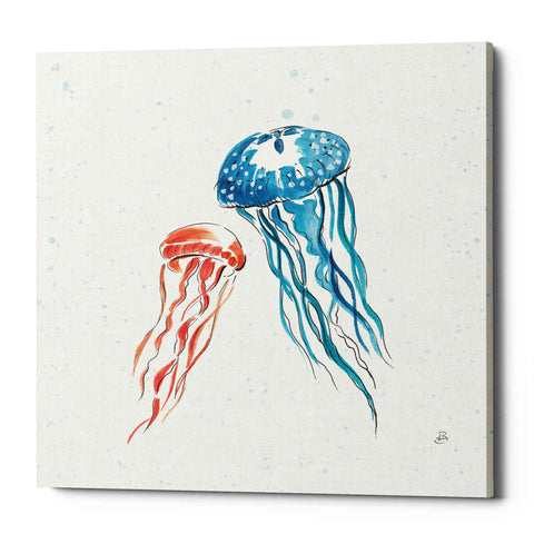 Image of 'Maritime VI' by Daphne Brissonet, Canvas Wall Art