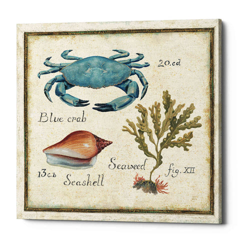 Image of 'Oceanography IV' by Daphne Brissonet, Canvas Wall Art