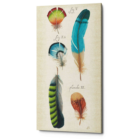 Image of 'Ornithology IV Panel' by Daphne Brissonet, Canvas Wall Art