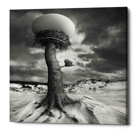 Image of '2nests' by Dariusz Klimczak, Canvas Wall Art
