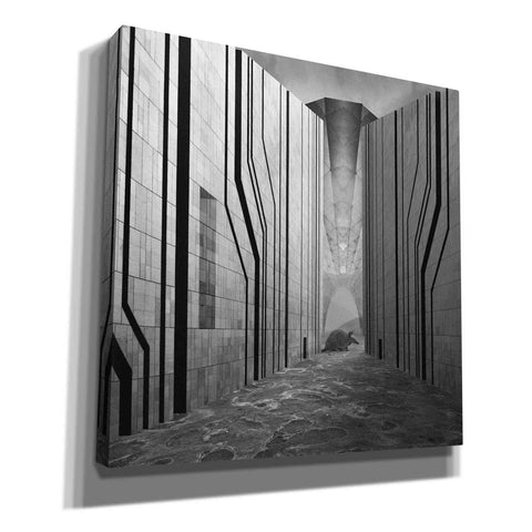Image of 'Armadillo' by Dariusz Klimczak, Giclee Canvas Wall Art