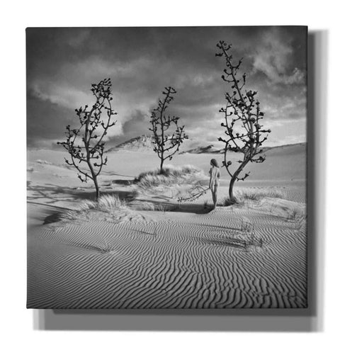 Image of 'Egarden' by Dariusz Klimczak, Giclee Canvas Wall Art